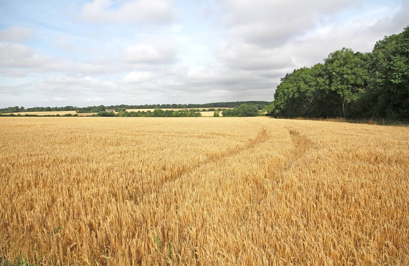 South Cambridgeshire is based on a series of mostly small settlements linked by highly productive farmland and complemented by compact industrial estates and high-tech industries.